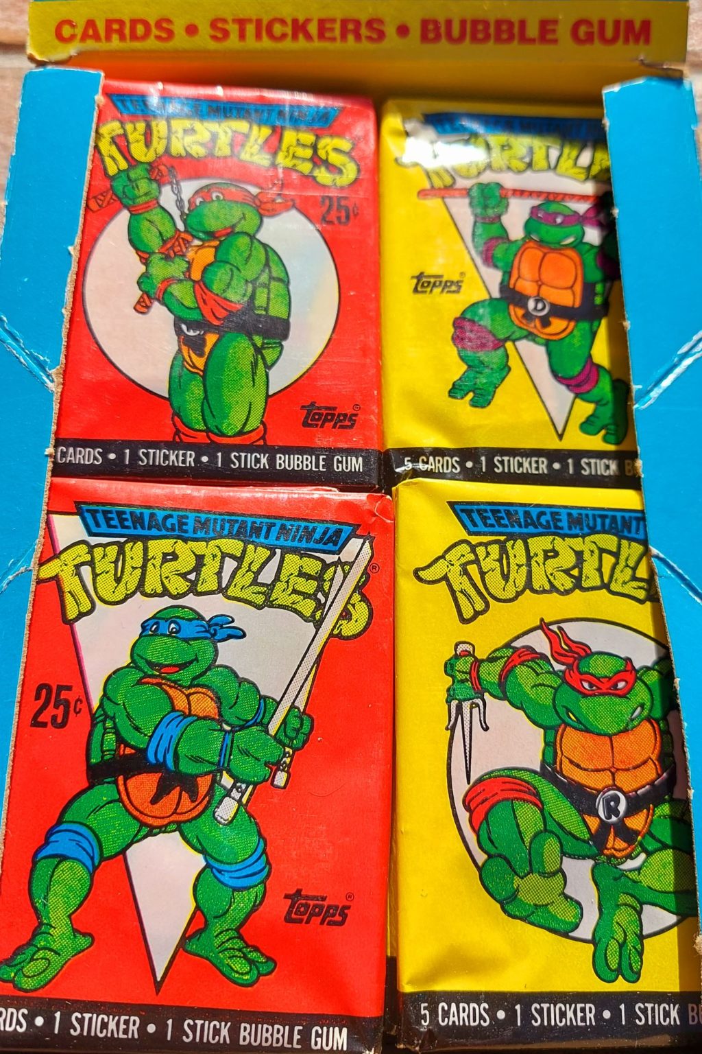 Teenage Mutant Ninja Turtles 1989 1st series