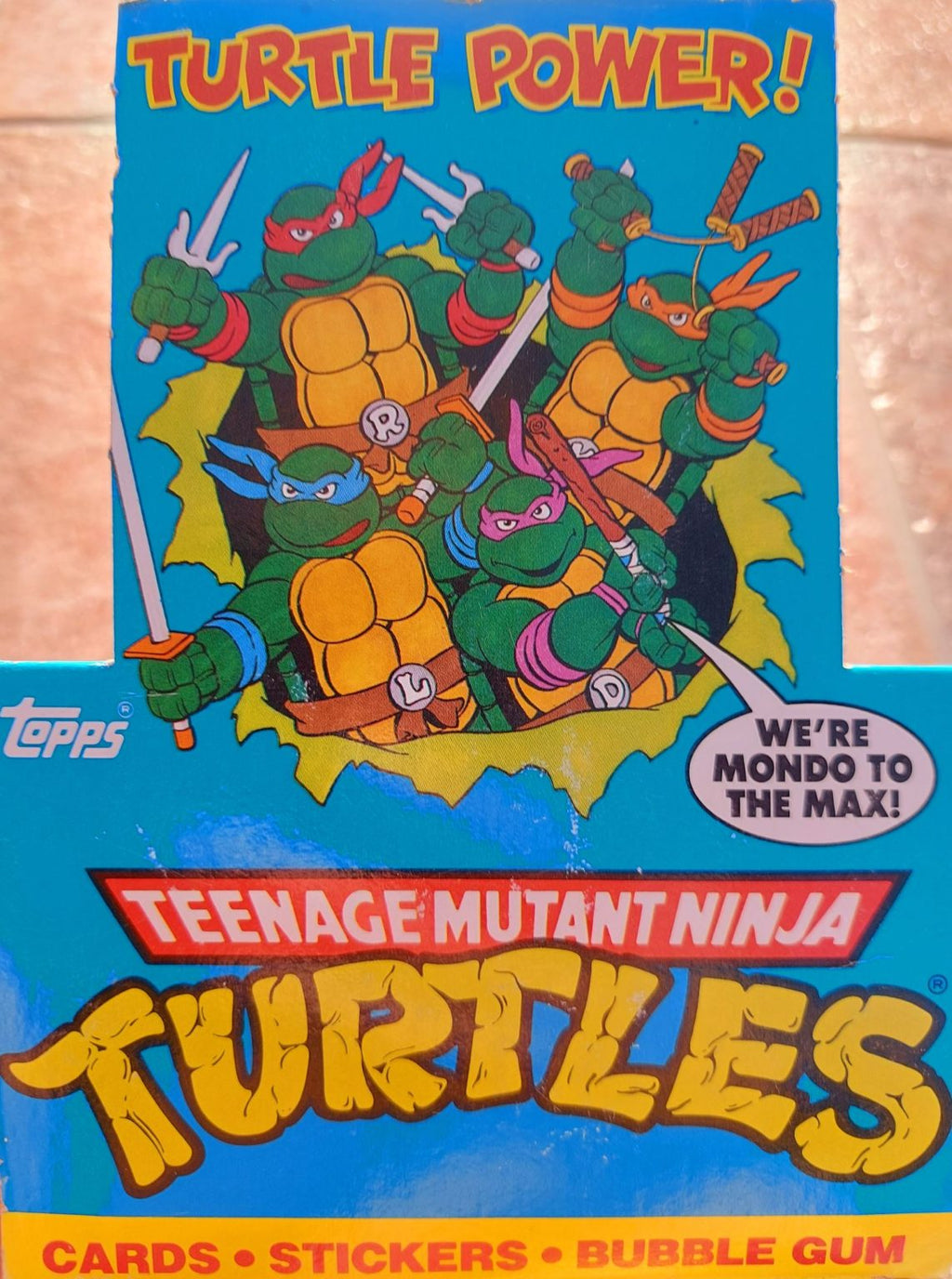 Teenage Mutant Ninja Turtles 1989 1st series
